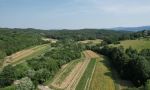 DJI 0532