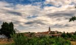 gologorica2