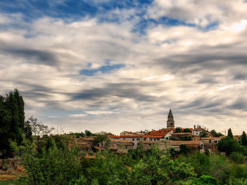 gologorica2